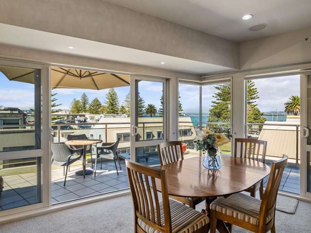 8b Pacific Avenue Mount Maunganui_2