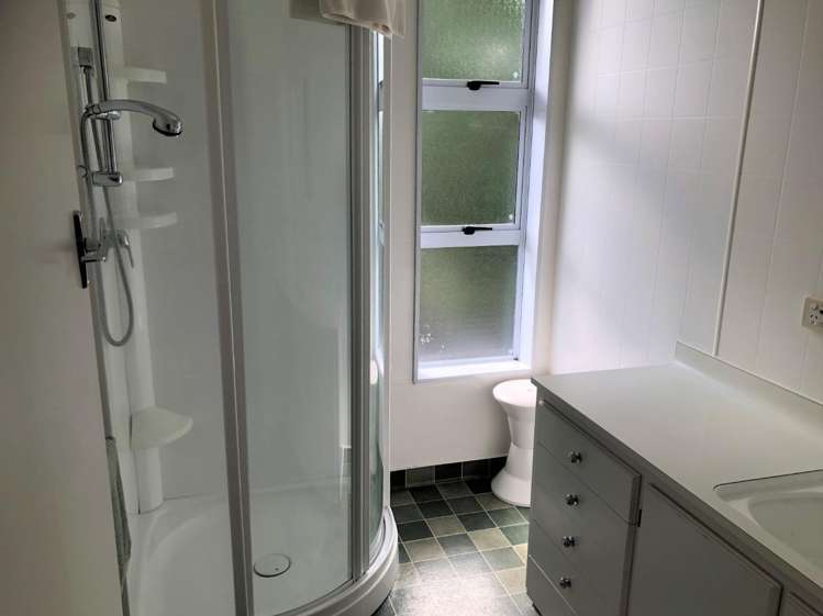 49 Nelson Street Mayfield_8