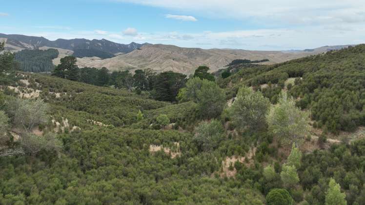 Waihoki Valley Road_2