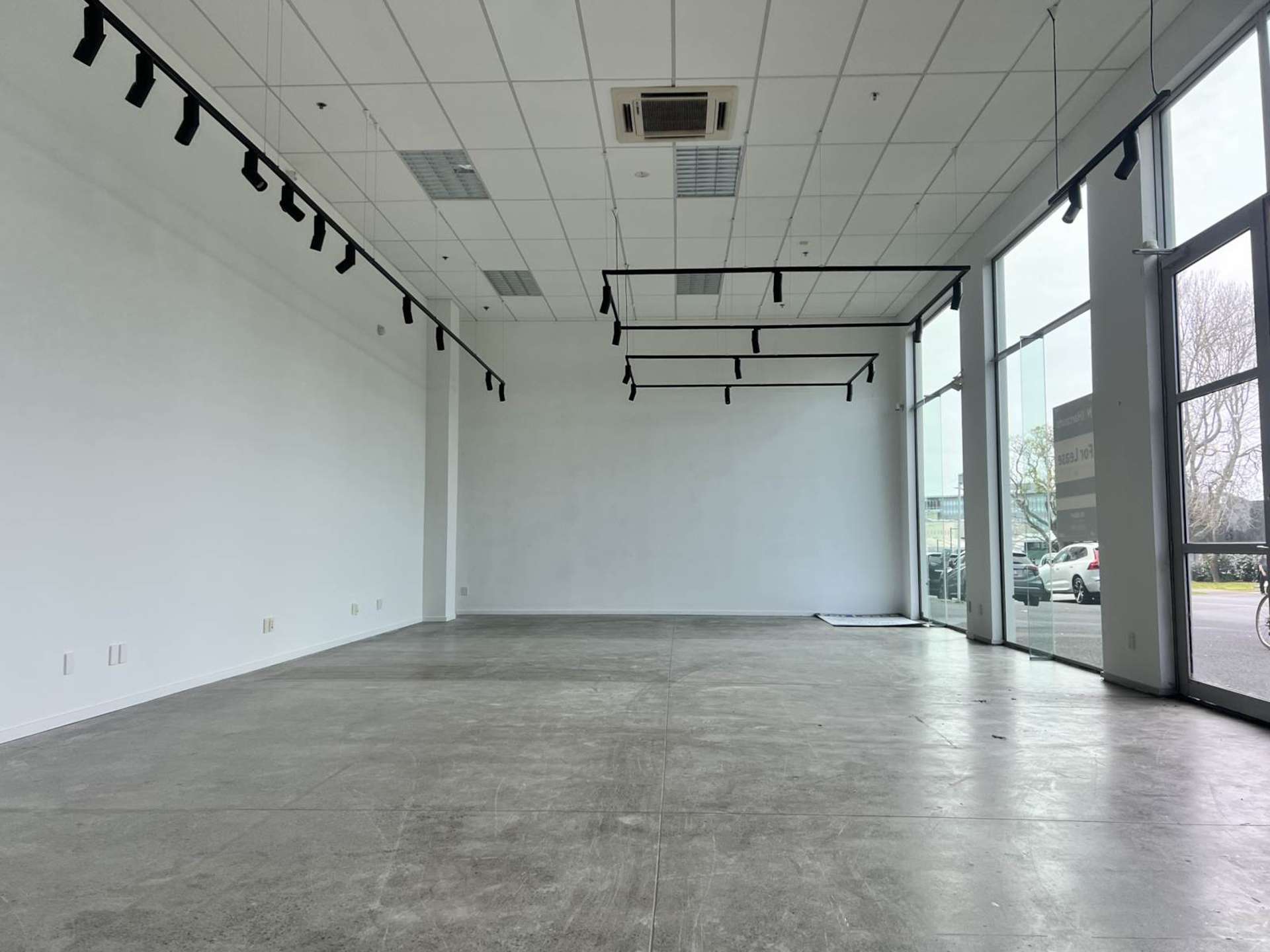 14 Normanby Road Mt Eden_0