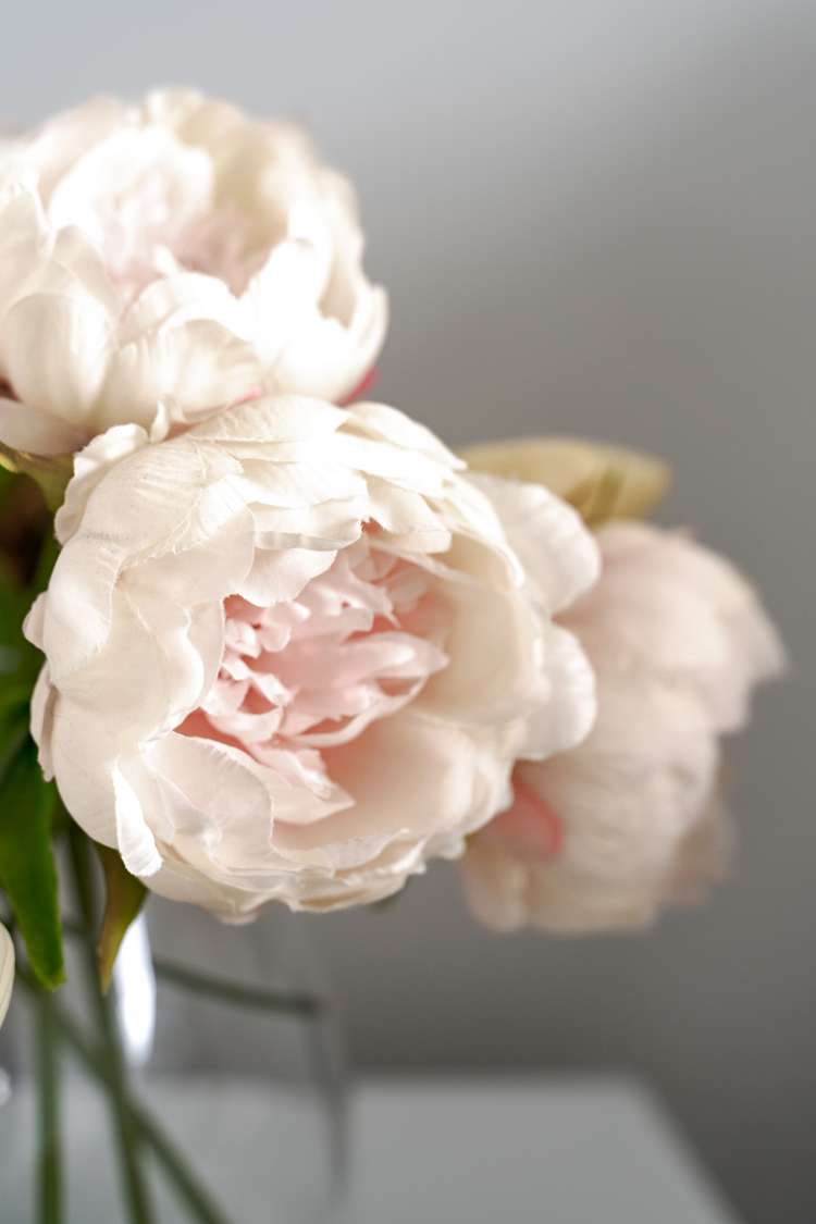 13 Bonecrusher Street Lincoln_27