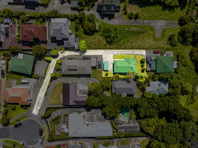 8a Locke Avenue Mount Roskill_20