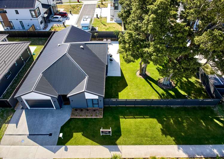 24 Castletown Street Wallaceville_24