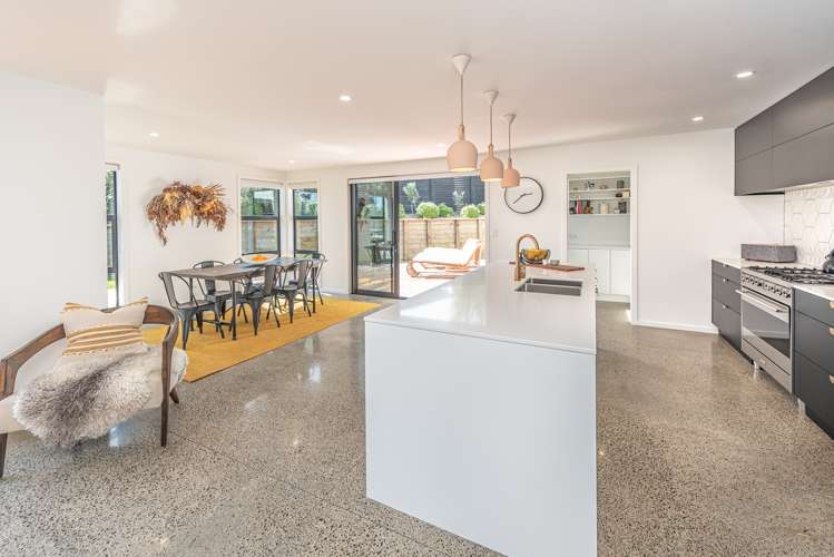 187 Mount View Road Bastia Hill_6