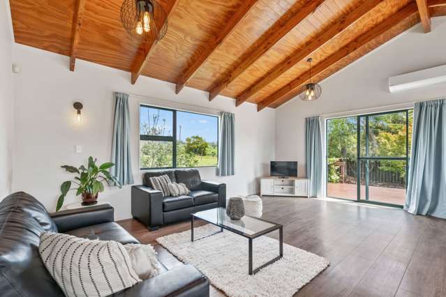 136 Mangapai Road Mangapai and Surrounds_2