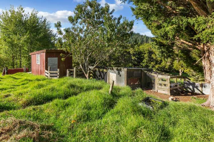 903 Springfield Road Mangapai and Surrounds_18