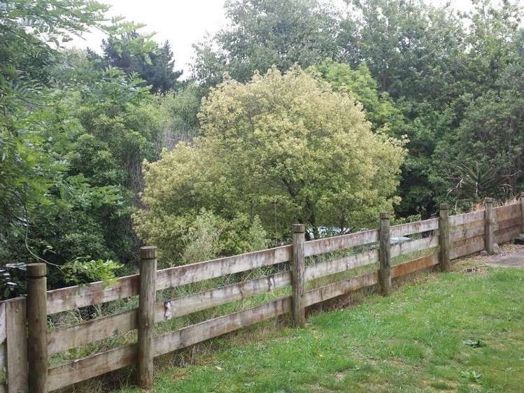 46a Peka Peka Road Peka Peka_17