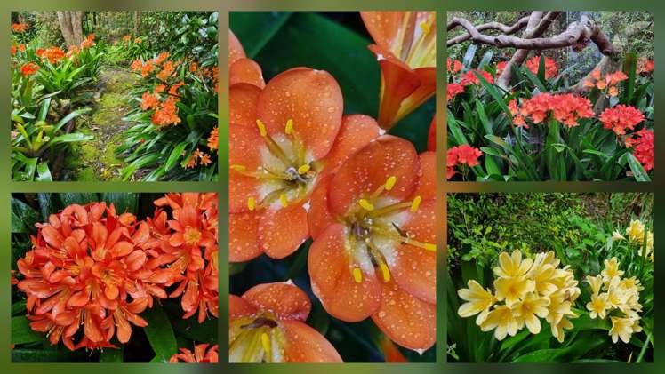 65 Pahi Road Paparoa_15