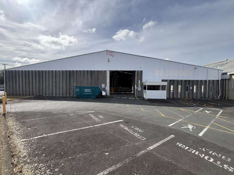 11 McDonald Street Morningside_11