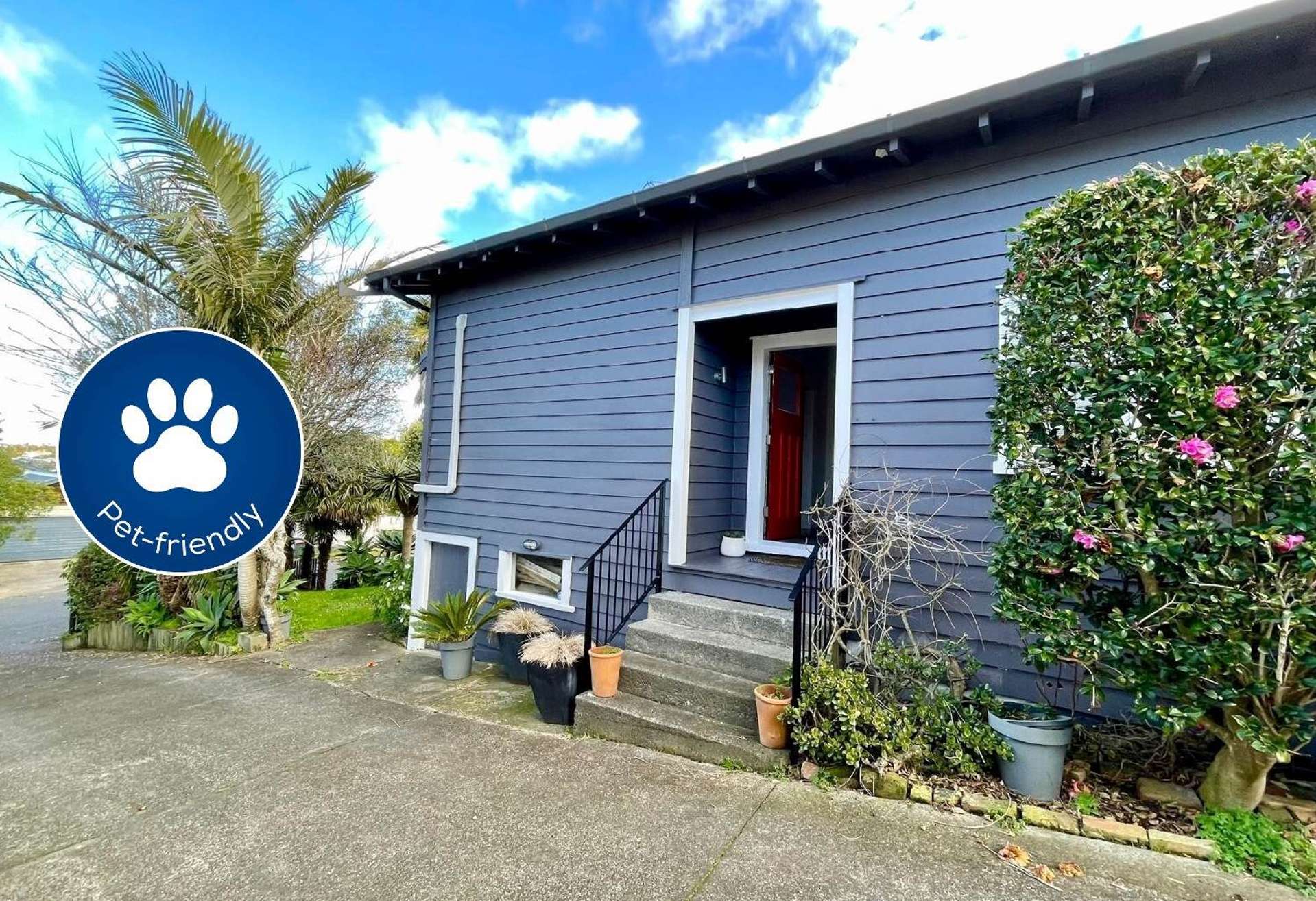 23 Sefton Avenue Grey Lynn_0