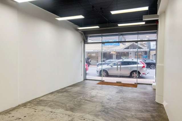 Ground/119 Featherston Street Wellington Central_1