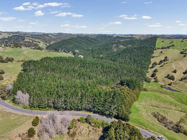 2458 Paparoa-Oakleigh Road Maungaturoto_4