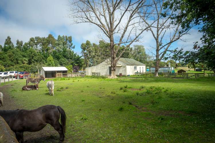 253 Beaconsfield Road Fairview_19