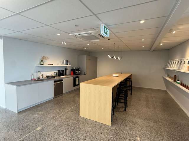 13 Maidstone Street Grey Lynn_2