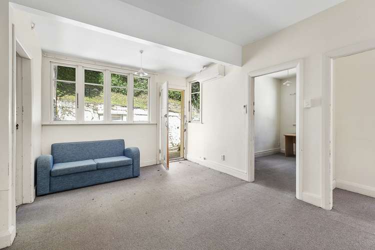 217 Aro Street Aro Valley_5