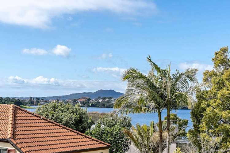 8 Macbeth Court Milford_12