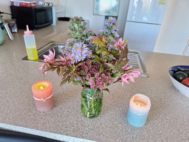 19 Sheen Street Roslyn_0