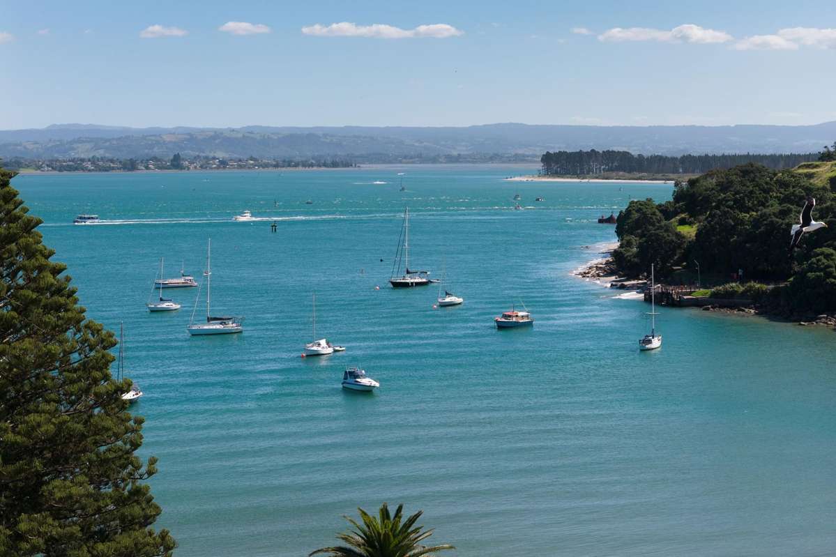 8/3 Leinster Avenue_1