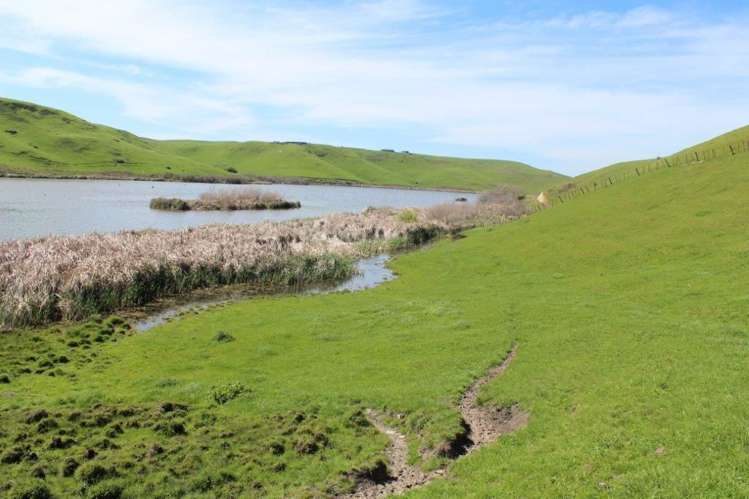 241 Awahuri Road Crownthorpe_3