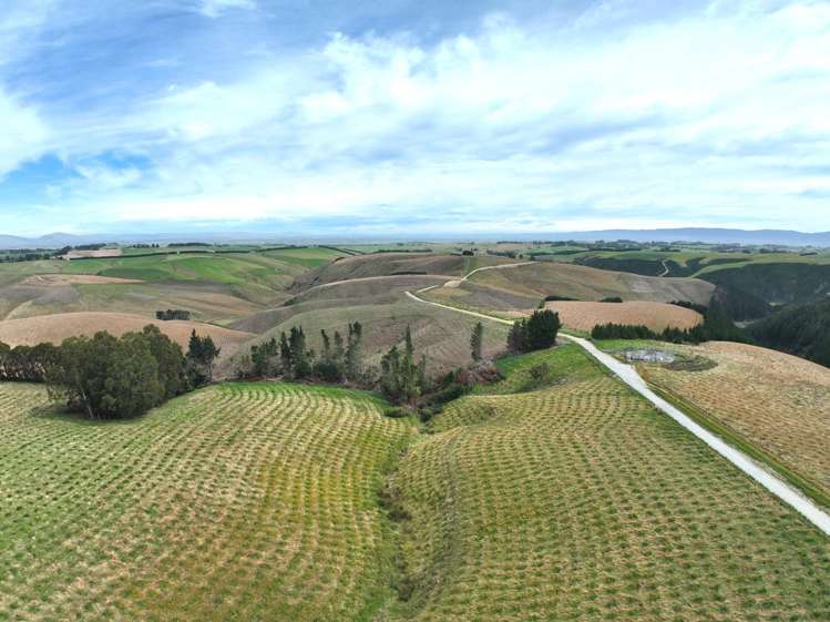 174 McCulloch Road Awamangu_11