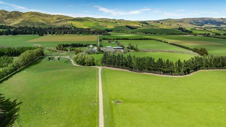 1443 Omihi Road Omihi_15