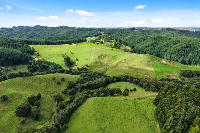 59A Simon Bayer Road Puhoi_4