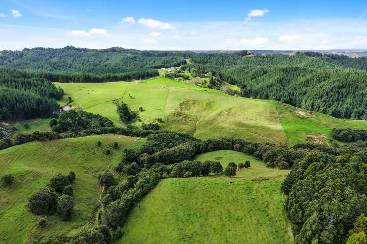 59A Simon Bayer Road Puhoi_4