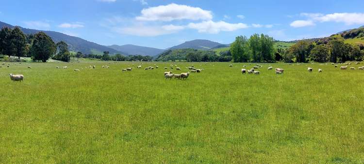 1777 Papatowai Highway Papatowai/Pounawea_1