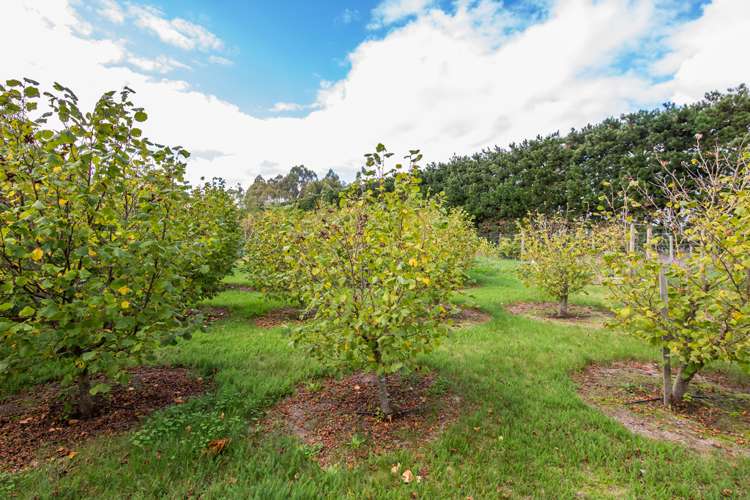 133 Langdales Road West Melton_14