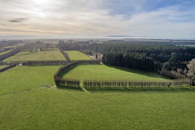 10 Jelfs Road Woodend_4