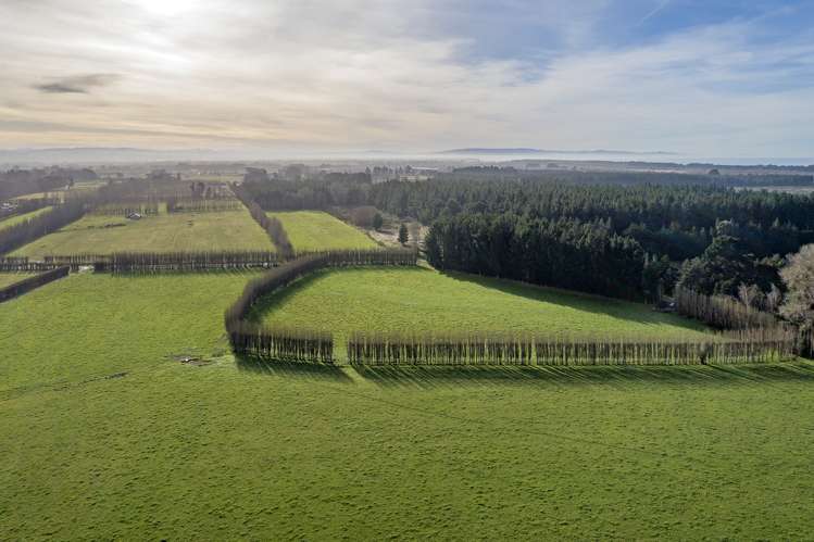 10 Jelfs Road Woodend_4