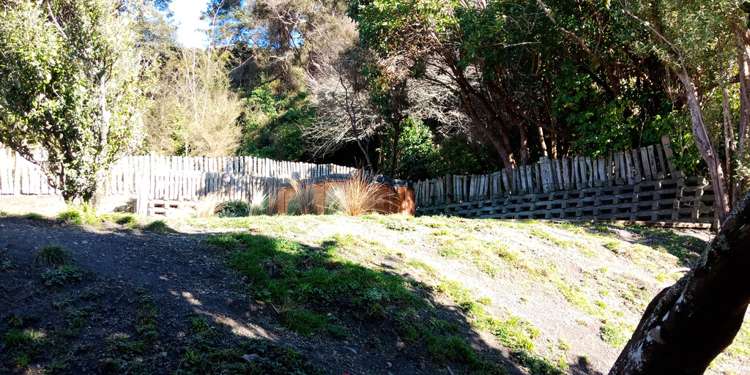 10 Harrison Street Featherston_10