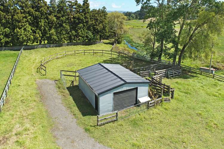 169 Glenbrook Waiuku Road Waiuku_21