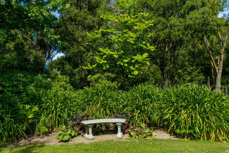 33 David Street Yelverton_11