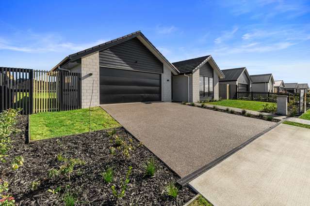 3 Evans Street Morrinsville_3