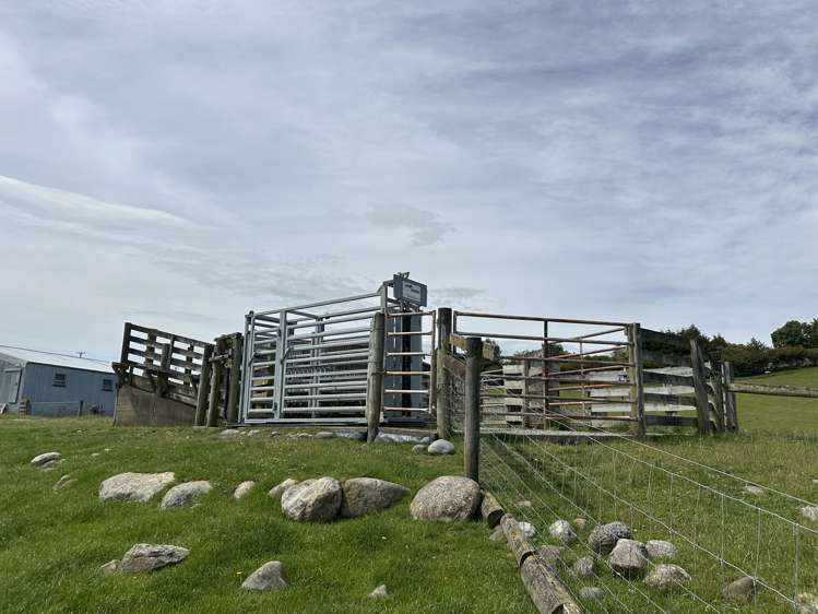 133 Dale Road Te Anau_19