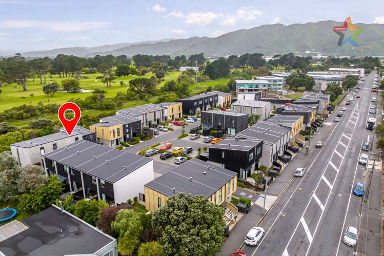 15 Te Ara O Paetutu Petone_22