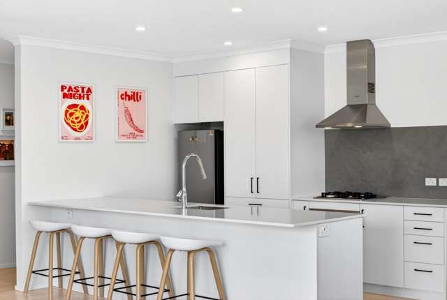 85 Hunter Drive Awatoto_2