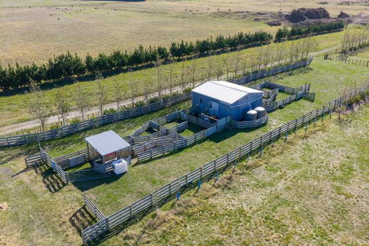 163 Downs Road Himatangi_9