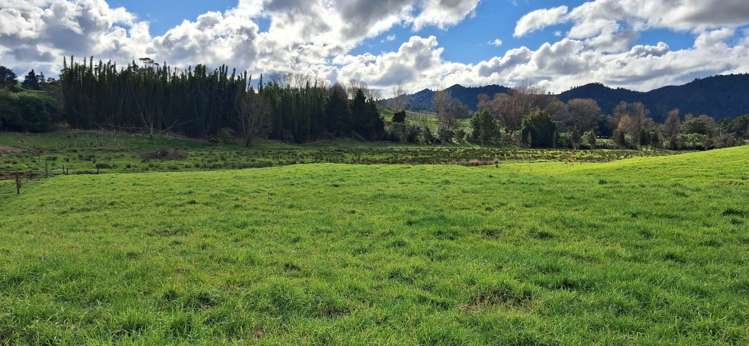 Lot 1&2/79 Tavinor Road Otaika_13