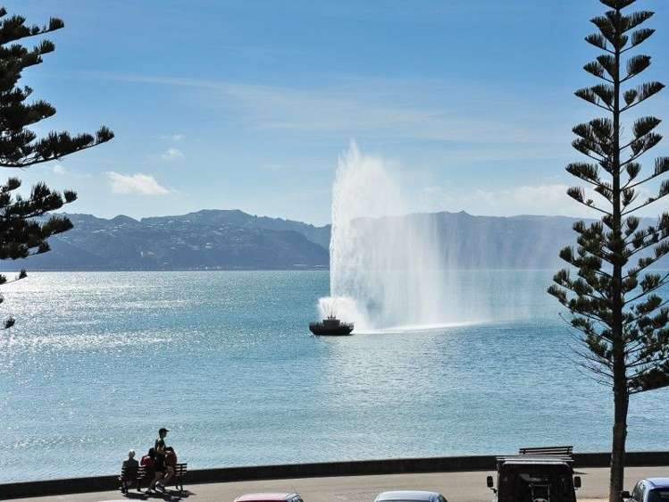 2/226 Oriental Parade Oriental Bay_7
