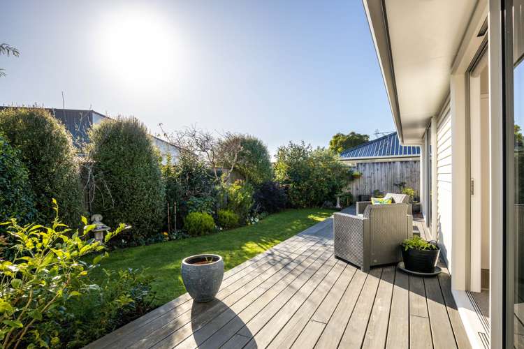 374b Carrington Street Upper Vogeltown_24