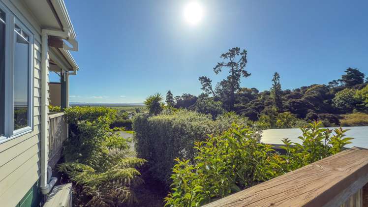 243 The Booms Avenue Thames_12