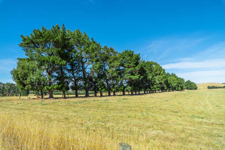 50 Jurys Road Waipara_17