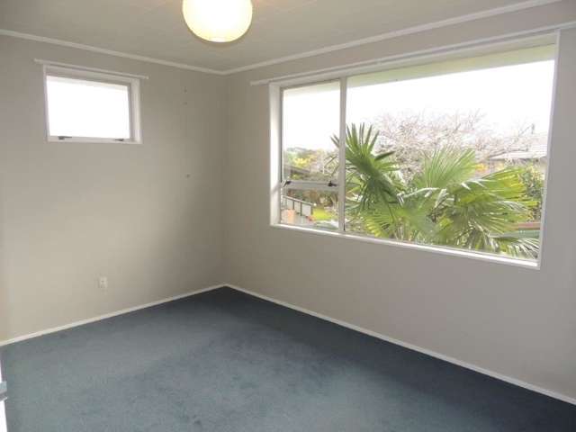 7 Wiseley Place Morrinsville_3