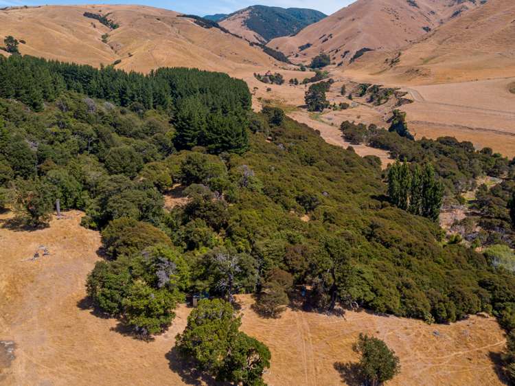 354 Blue Rock Road Ruakokoputuna_16