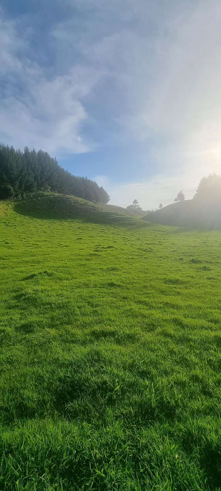 2877 State Highway 30 Rotoma_26