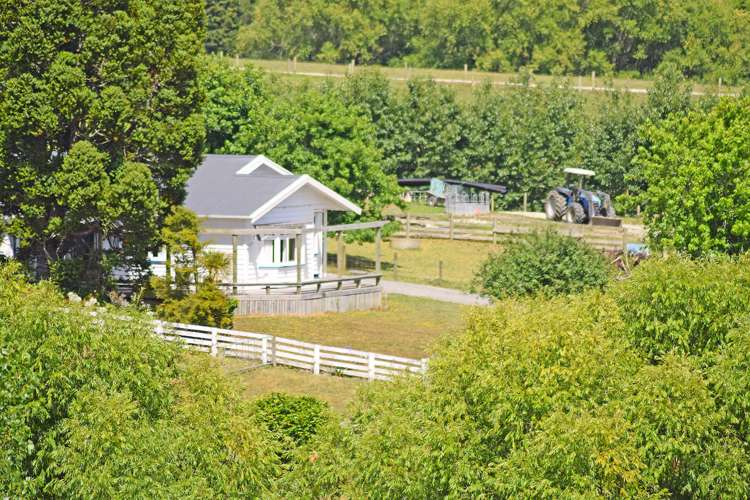 119 Worker Road Wellsford_10