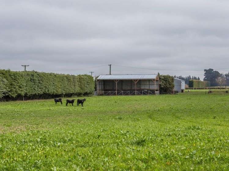 1248 Clintons Road Darfield_7