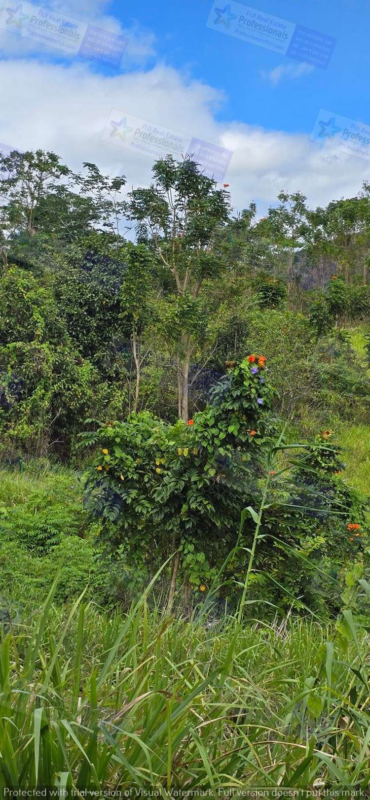 Address withheld Labasa_27